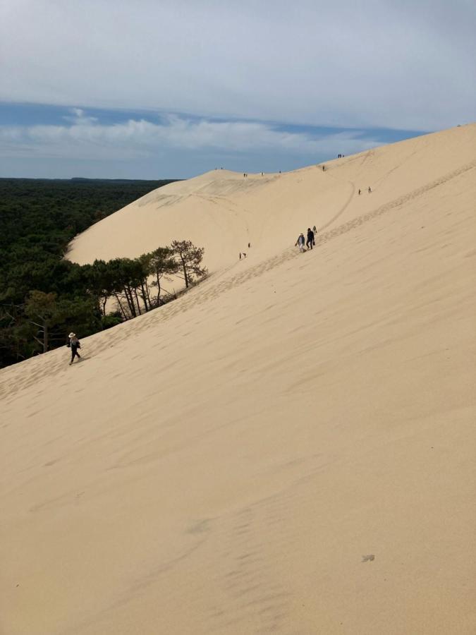 אודנאז' Village Seasonova Bassin D'Arcachon מראה חיצוני תמונה