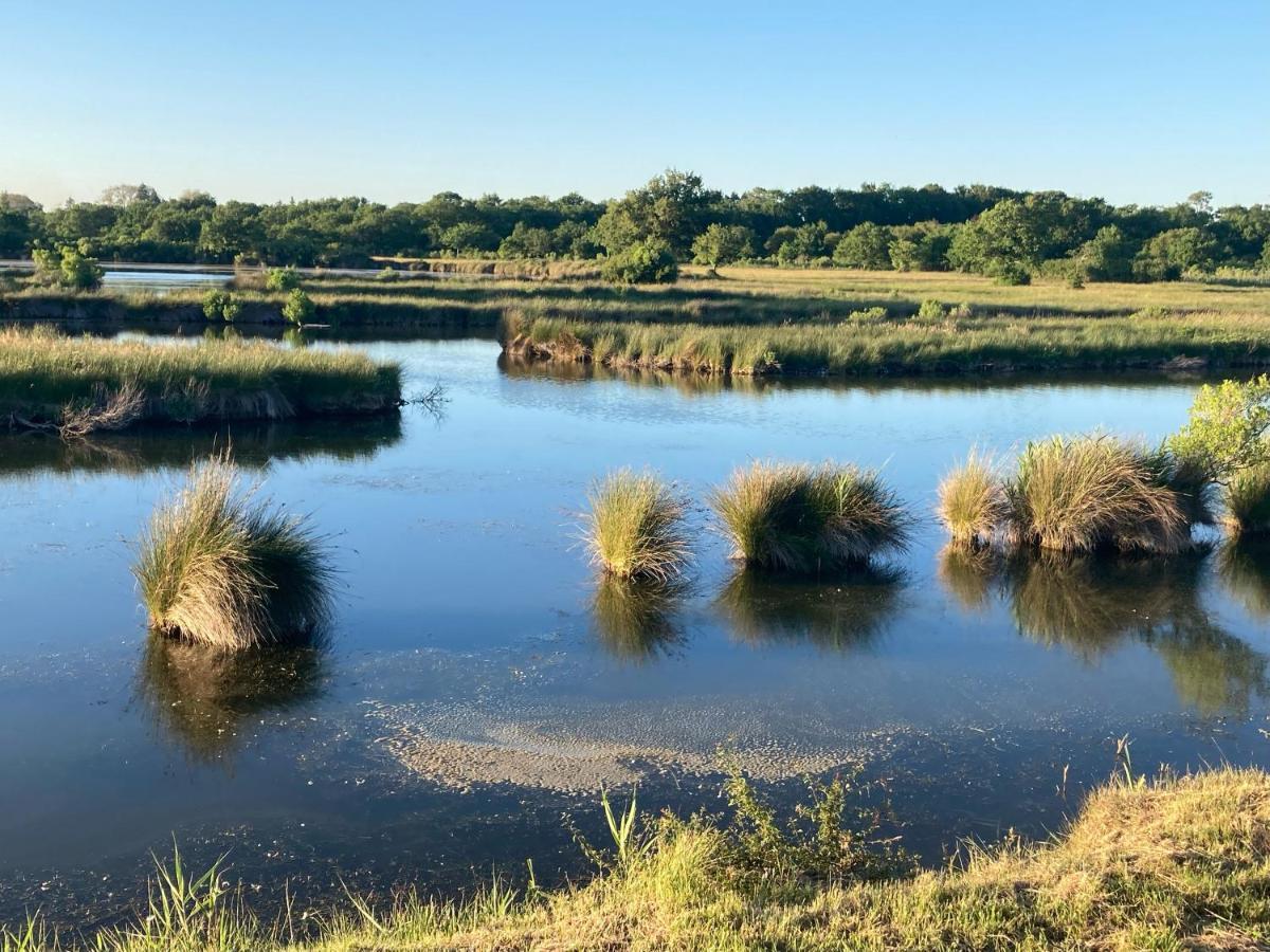 אודנאז' Village Seasonova Bassin D'Arcachon מראה חיצוני תמונה