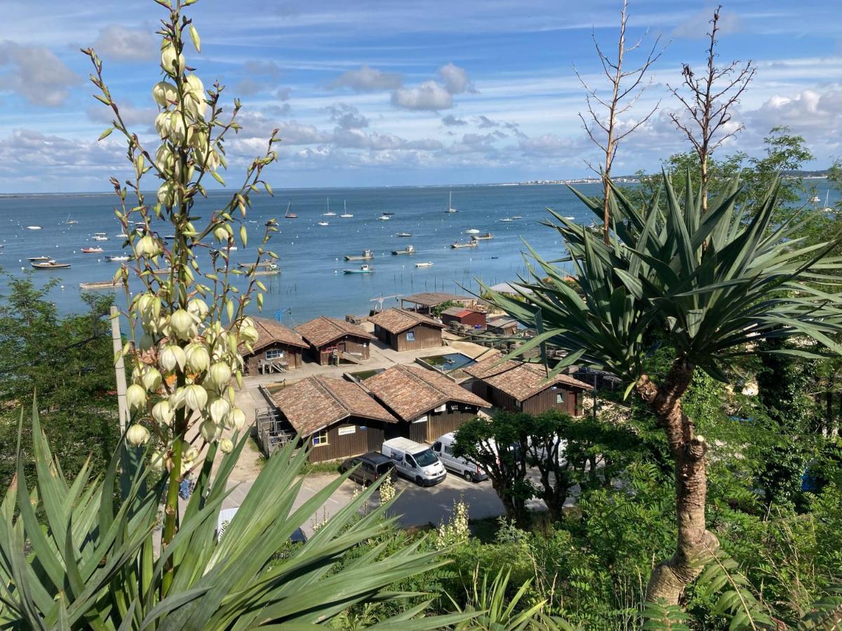 אודנאז' Village Seasonova Bassin D'Arcachon מראה חיצוני תמונה